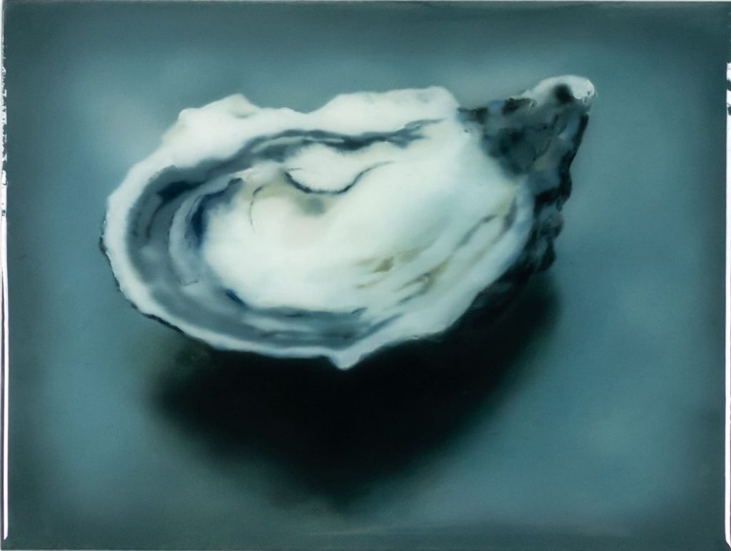 Oyster nr°1
