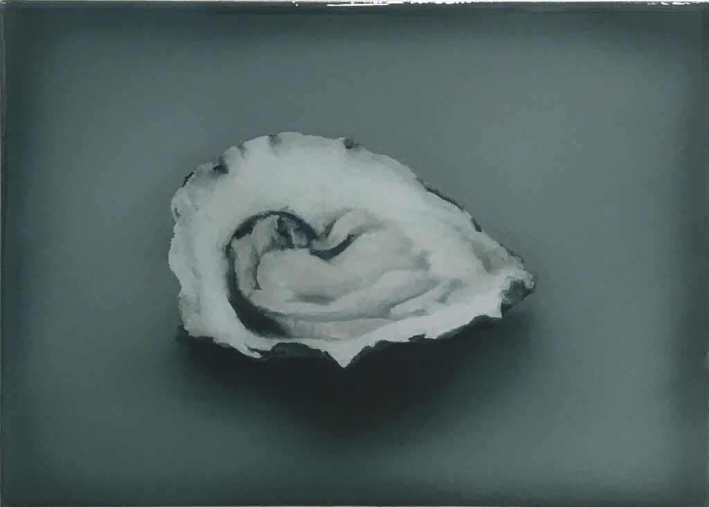 Oyster nr°4