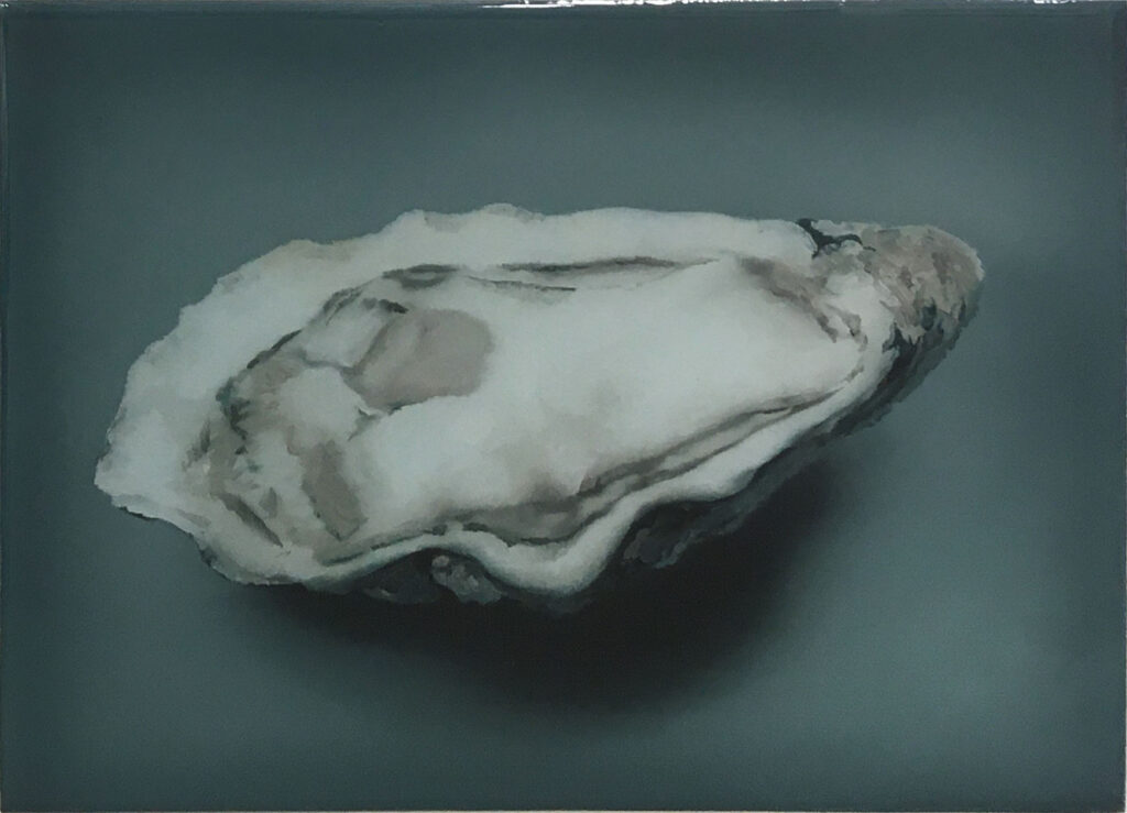 Oyster nr°5