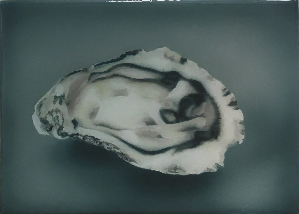 Oyster nr°6