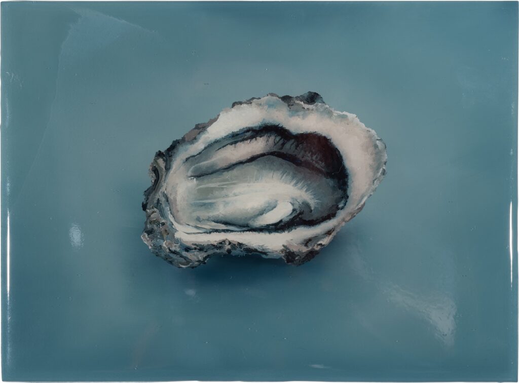 Oyster°1